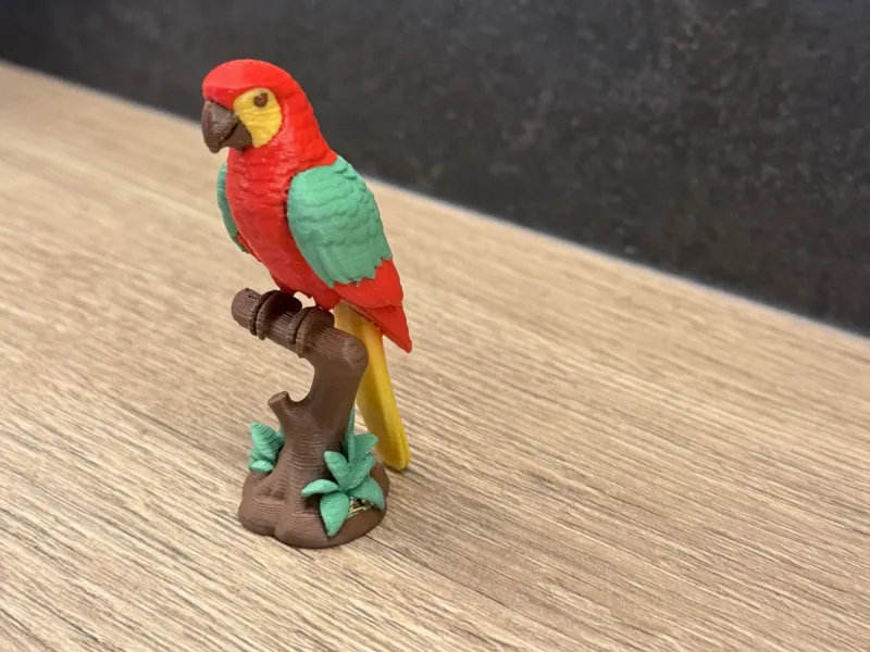 Colorful Tropical Parrot