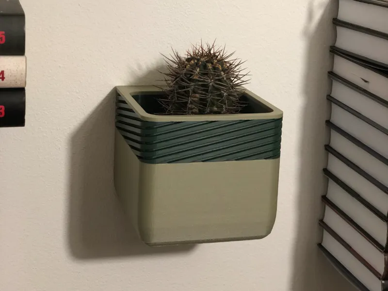 Plant Pot on the wall