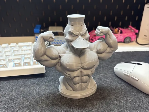 https://makerworld.bblmw.com/makerworld/model/US3061617a28df18/design/b59834533b86009c.png