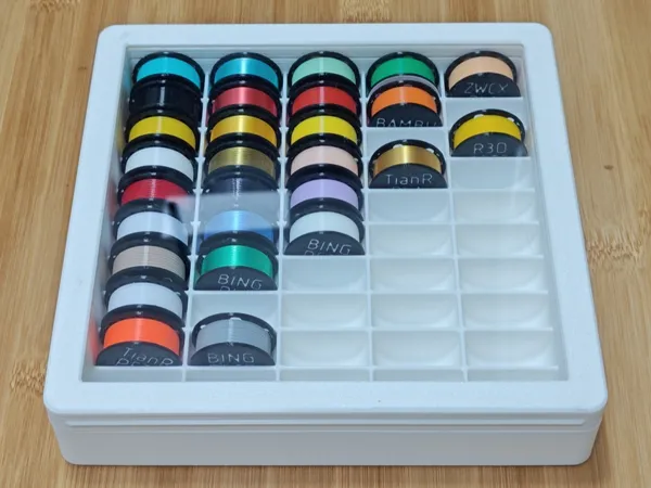 https://makerworld.bblmw.com/makerworld/model/US3065d420e2b408/design/2024-06-14_c5effe19237be.webp