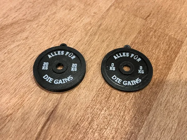 https://makerworld.bblmw.com/makerworld/model/US306ad8f7daa559/design/2025-02-14_aec8fd4ae1ce48.jpeg