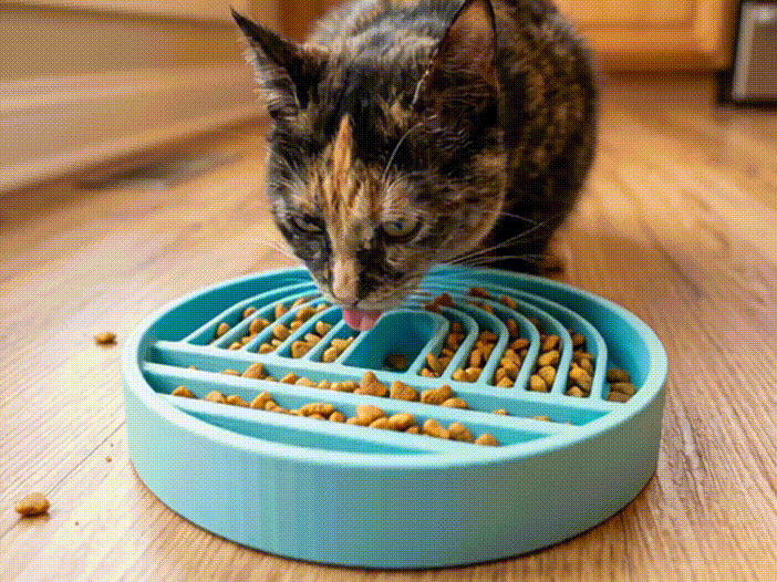 Anti-gulping bowl