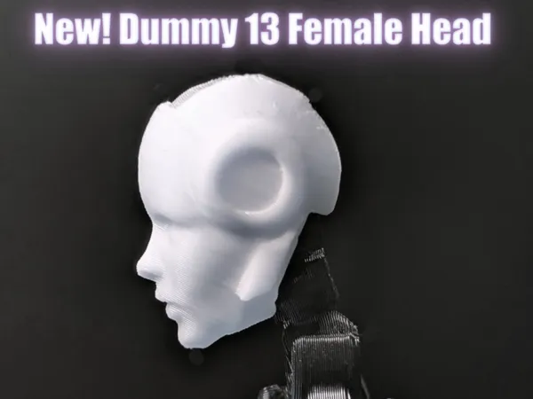 https://makerworld.bblmw.com/makerworld/model/US306ec419d1dbc4/design/2025-11-16_0e3e811a0b7948.jpg