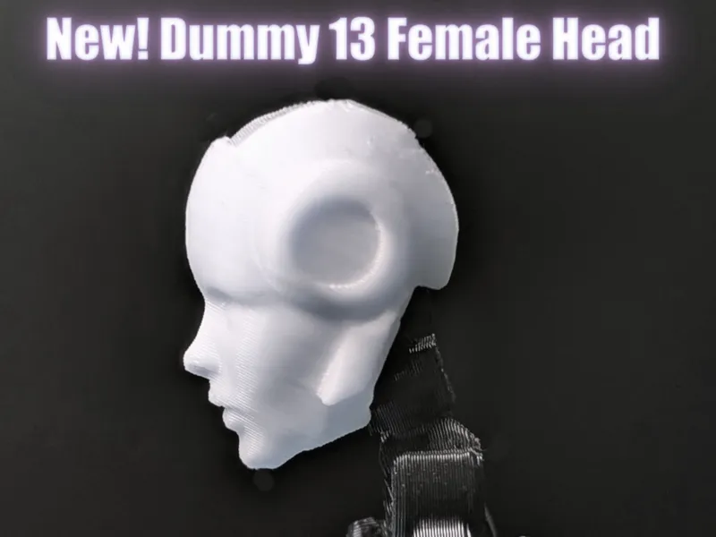 New Female Head Dummy 13  “I Robot” Style