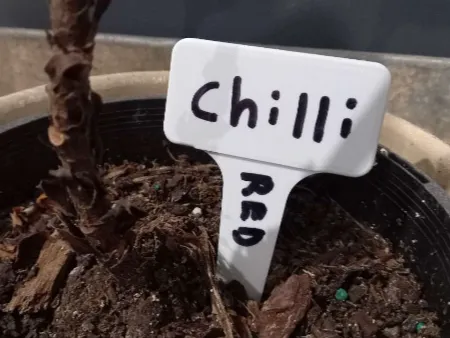 Garden Labels