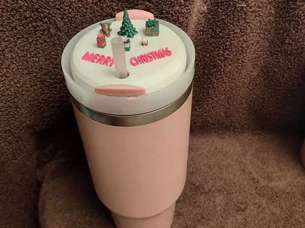 https://makerworld.bblmw.com/makerworld/model/US3072cd04994863/design/2025-11-21_dfd7fa8ebde068.jpg