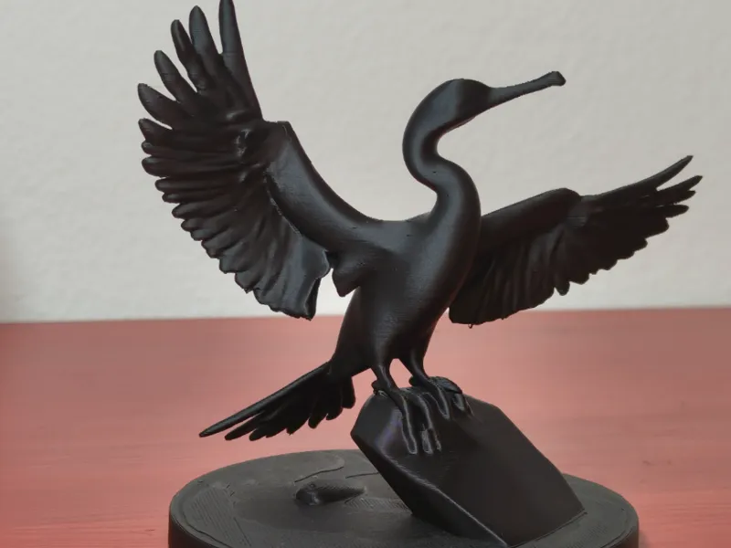 Kormoran