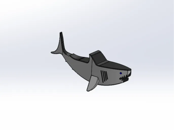 Shark