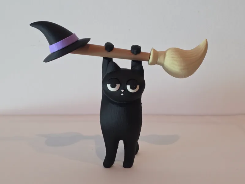 Hang On, Witchy Cat!
