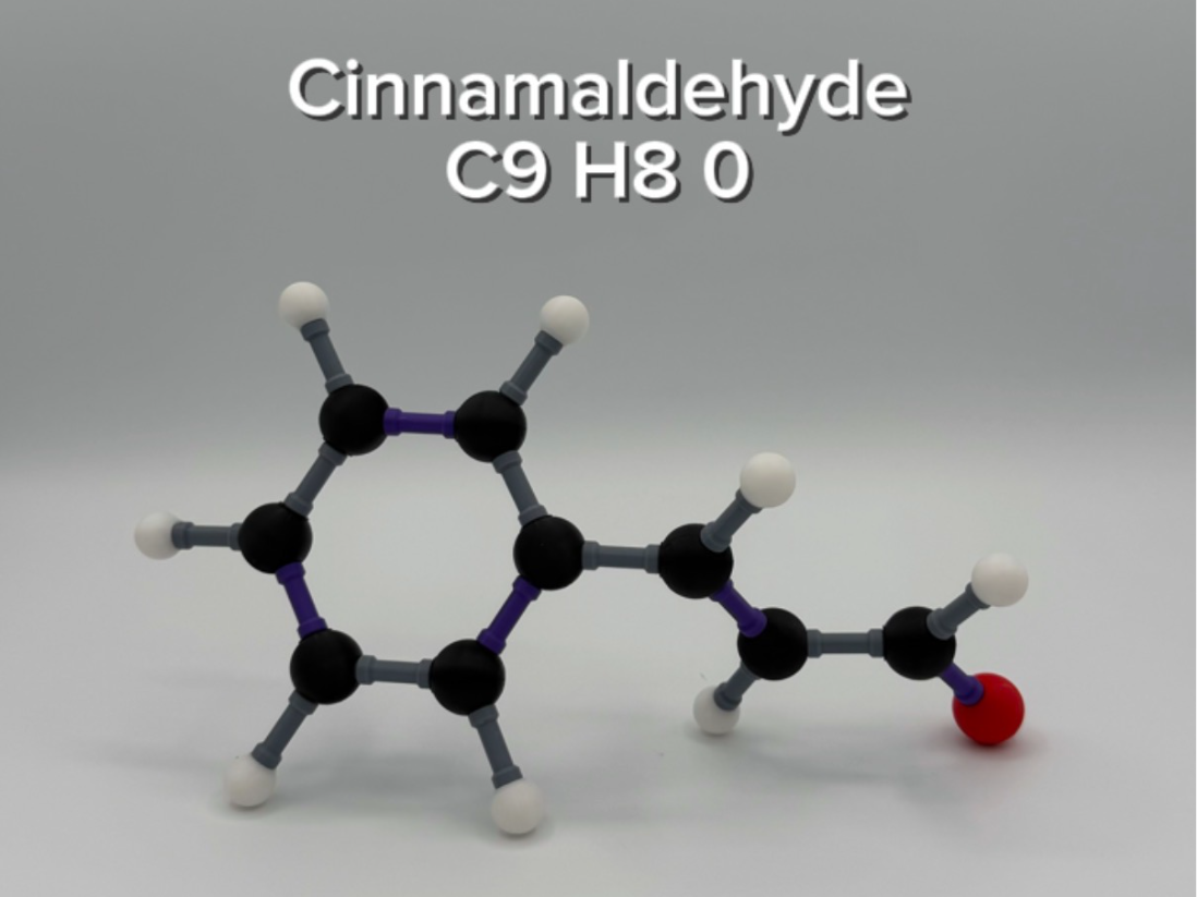 Cinnamaldehyde Molecule Kit
