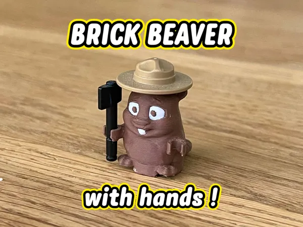 https://makerworld.bblmw.com/makerworld/model/US307b328a46f38e/design/2024-12-23_b5ab68caac7e8.png