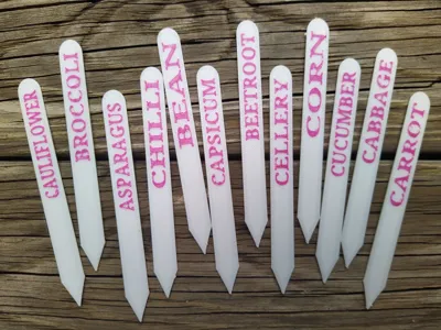 COMMON GARDEN VEGETABLES STAKE SIGNS