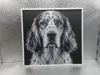 English Setter_170x161_P1S