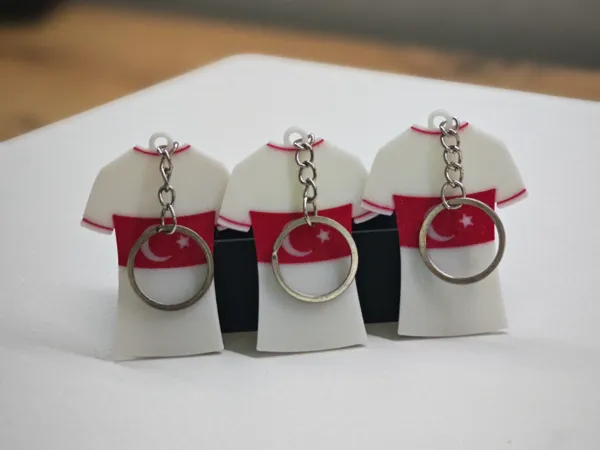 https://makerworld.bblmw.com/makerworld/model/US3081d16f628acc/design/2024-06-28_ca8c2c4243998.jpg