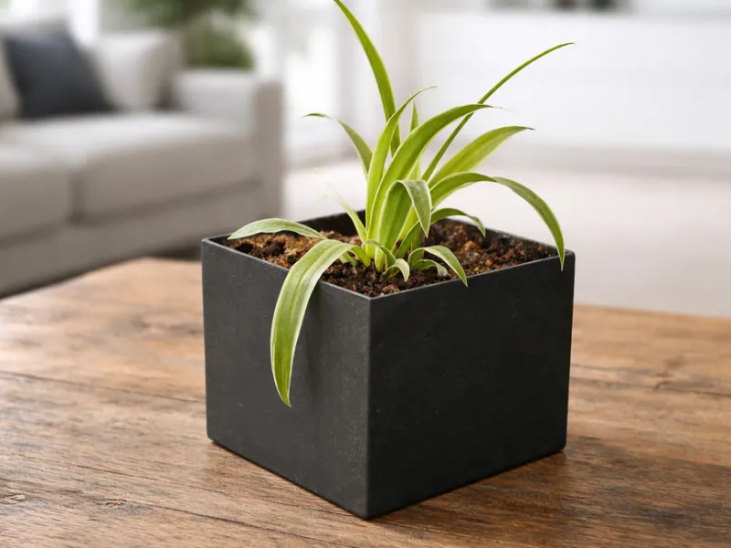 A simple planter sleeve