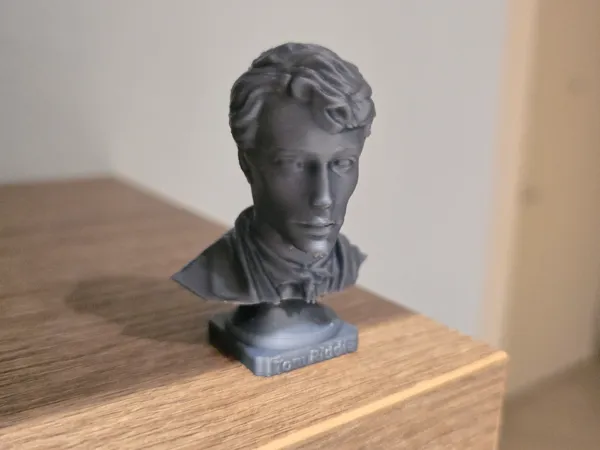 https://makerworld.bblmw.com/makerworld/model/US3084ea4f1d3624/design/2025-05-19_3e7a034abe0ca.jpg