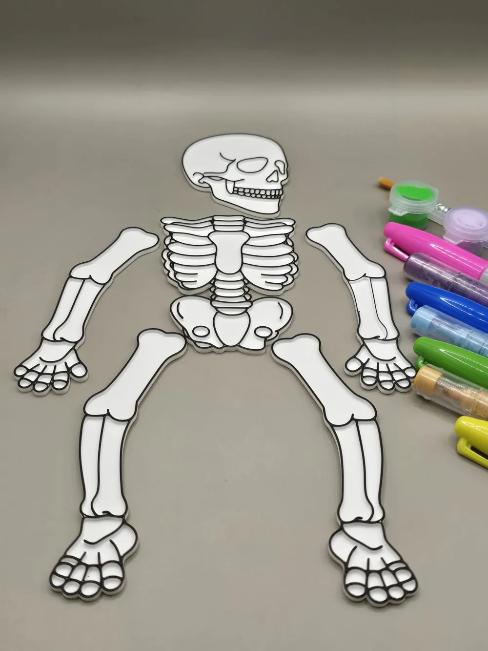 Skeleton Coloring Craft Anatomy Body - Free 3D Print Model - MakerWorld