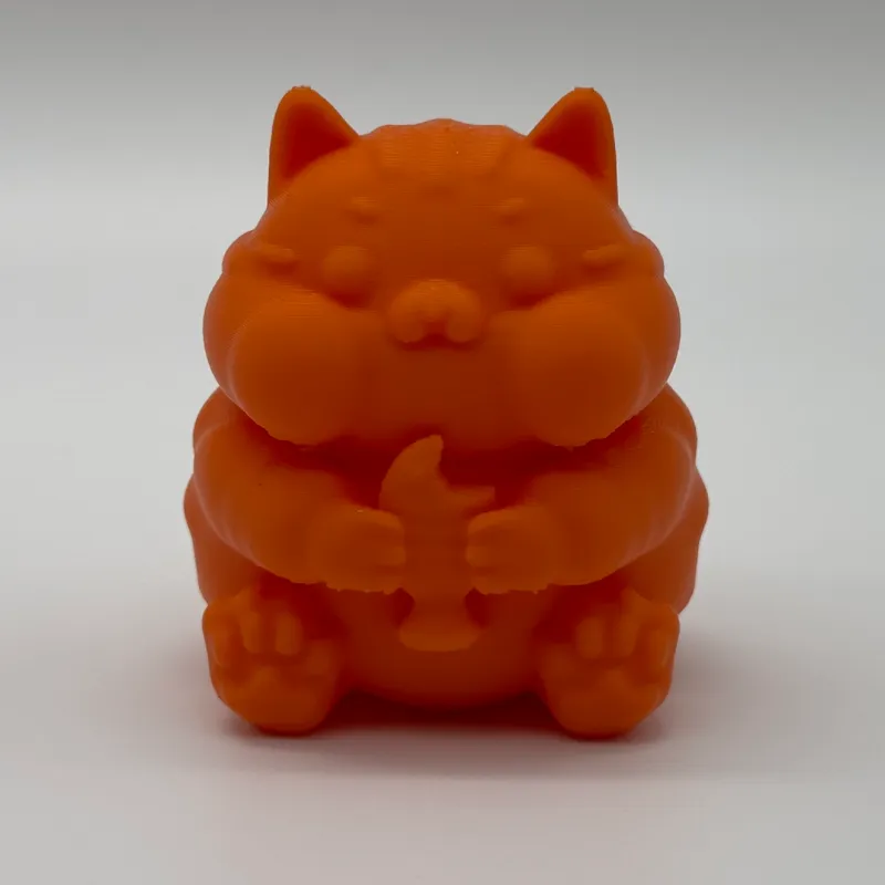 Cute Hungry Cat