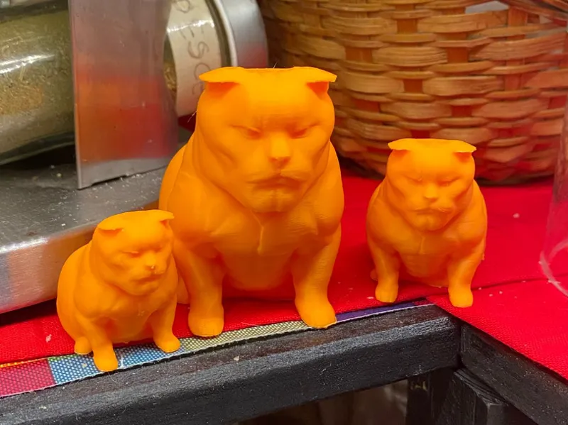 Funny Chad Cat