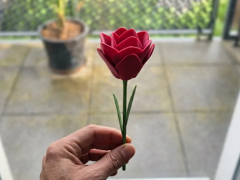 Elegant Flower (Fleur Élégante)