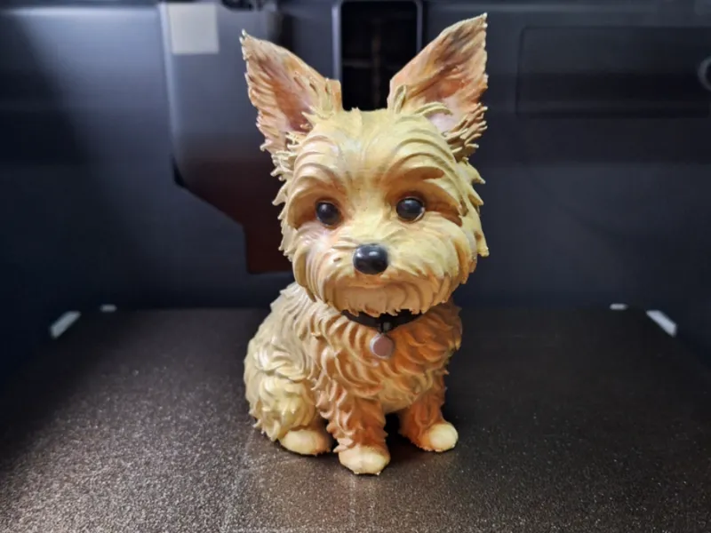 Yorkshire Terrier