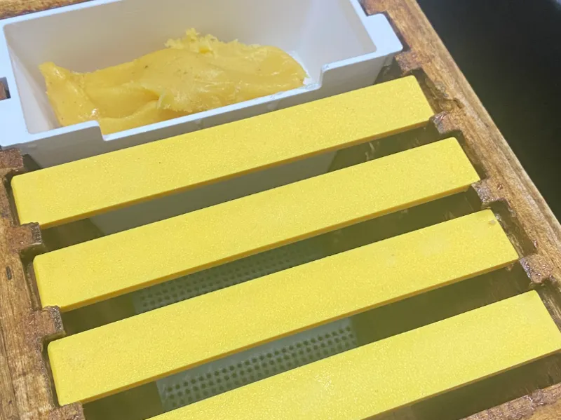 Kieler Hive - Top BarS