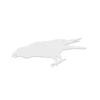 Collection de silhouettes d'oiseaux anti-collision — photo 7