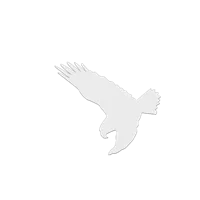 Collection de silhouettes d'oiseaux anti-collision — photo 5