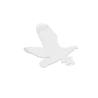 Collection de silhouettes d'oiseaux anti-collision — photo 10
