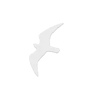 Collection de silhouettes d'oiseaux anti-collision — photo 4