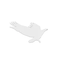 Collection de silhouettes d'oiseaux anti-collision — photo 8