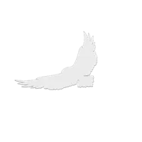Collection de silhouettes d'oiseaux anti-collision — photo 9