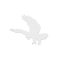 Collection de silhouettes d'oiseaux anti-collision — photo 6