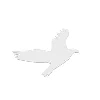 Collection de silhouettes d'oiseaux anti-collision — photo 3
