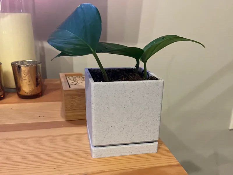 Square Planter (with drainage)