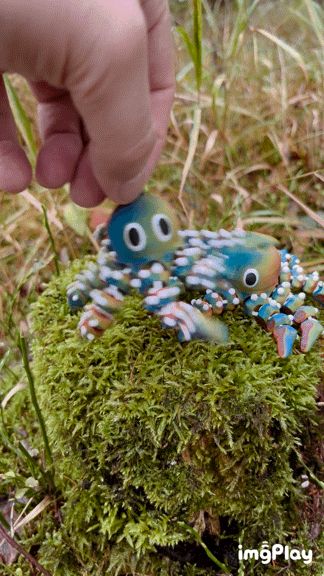 Baby Octopus Magnetic