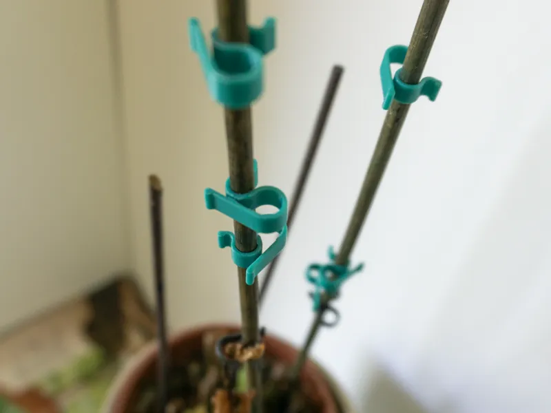 Plant Clips