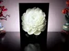 0.08mm layer, 1 walls, 100% infill
