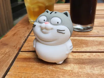 Zola cat