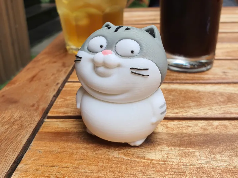 Zola cat