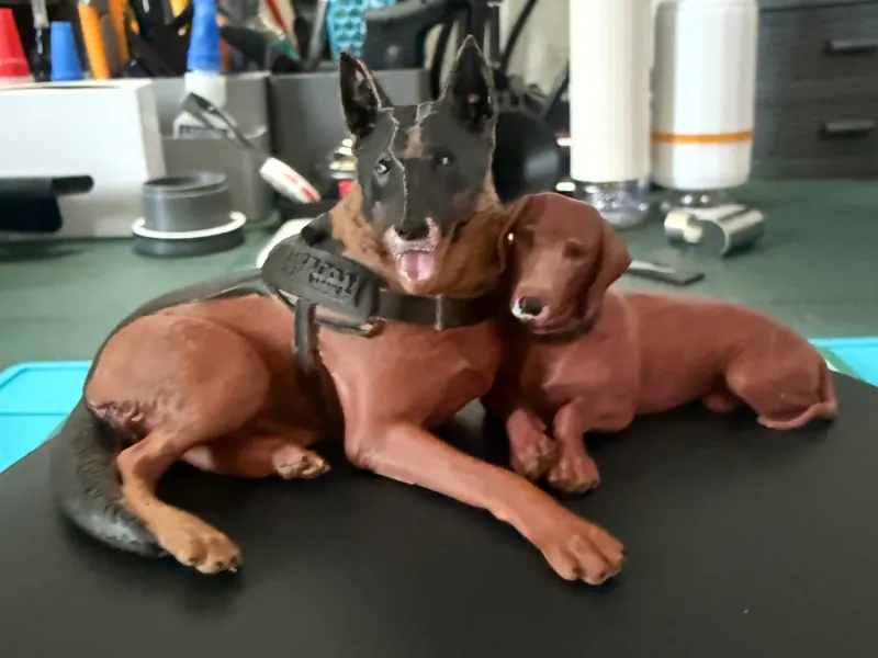 cani migliori amici