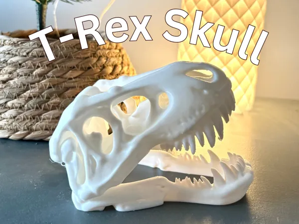 https://makerworld.bblmw.com/makerworld/model/US309a8e55153f08/design/2025-03-23_87d01775eab16.png