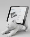 For Ipad