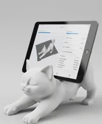 For Ipad