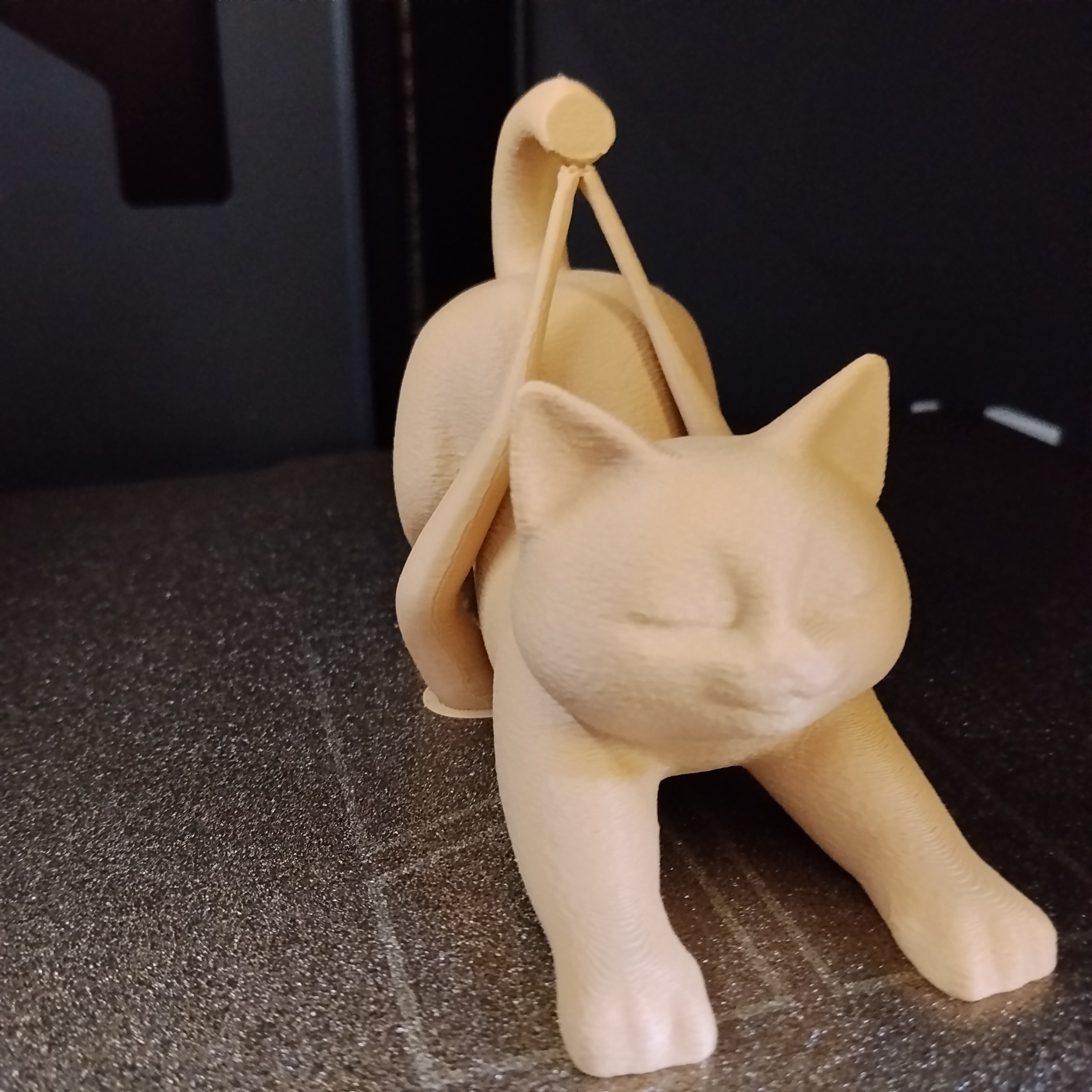Miniatura 3 do modelo 3D 猫猫手机支架
