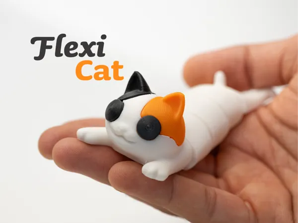 https://makerworld.bblmw.com/makerworld/model/US30a24a0941cd0a/design/2025-08-04_c2673a88752cf8.jpg