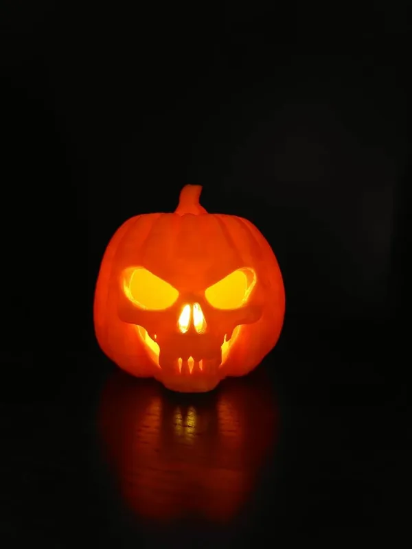 https://makerworld.bblmw.com/makerworld/model/US30a65738c49a15/design/2024-09-08_f8p7omywrqwi.jpg