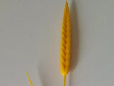 Espiga