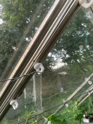 Greenhouse / Glasshouse twist clip