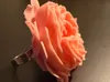 0.12mm layer, 2 walls, 15% infill